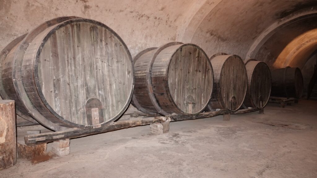 La nostra vigna