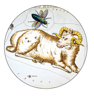 Ariete