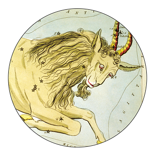 Capricorno