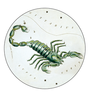 Scorpione